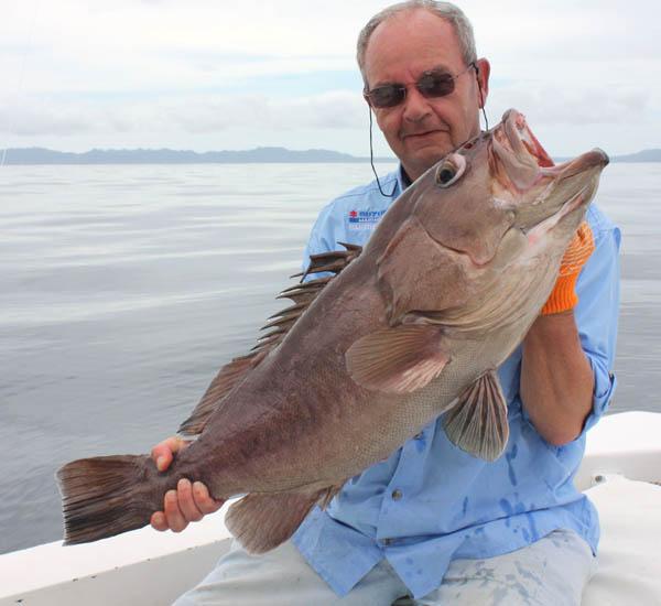 In mehr als 100 Metern Tiefe biss dieser Grouper auf den Jig